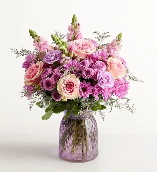 Lavender Dreams